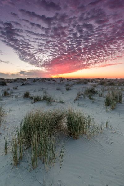 Zonsopkomst boven de duinen van Schiermonnikoog van Martzen Fotografie
