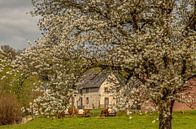 Marl farm at Simpelveld by John Kreukniet thumbnail