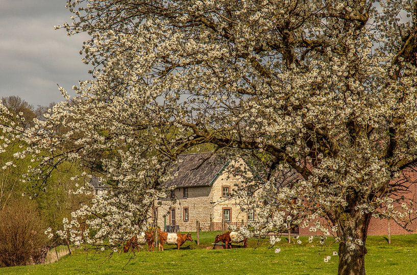 Mergelboerderij  bij Simpelveld van John Kreukniet