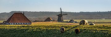 Hollands landschap von Harrie Muis