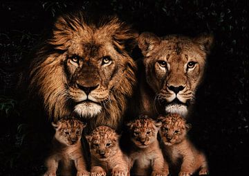 Leeuwen familie met 4 welpjes