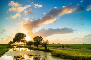 Alblasserwaardse polder
