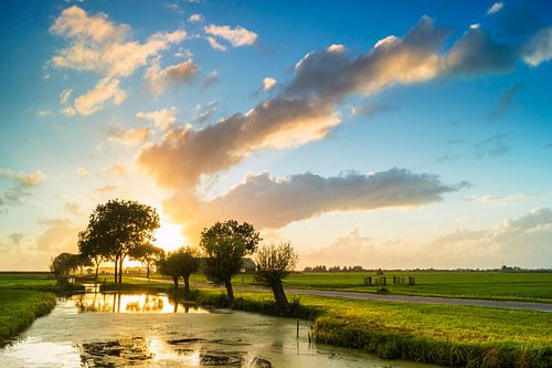 Alblasserwaardse polder