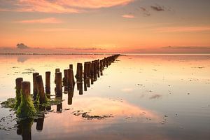 De Schorren Texel