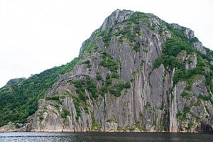 Groene rotsen aan de kust van Noorwegen van Manon Verijdt