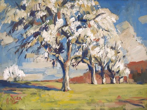 Hoogstam perenbomen nabij Cottessen