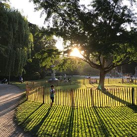 Antwerp by Arnold van der Weide