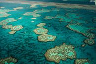 Great Barrier Reef from an airplane by Rowan van der Waal thumbnail