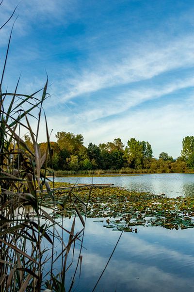 Herbstliche Entdeckungstour durch das schöne Werratal von Oliver Hlavaty