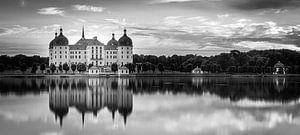 Panorama von Schloss Moritzburg in schwarz-weiß
