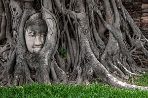 Buddhakopf zwischen Baumwurzeln im Wat Phra Mahathat, Ayyuthaya (Thailand) von Femke Ketelaar