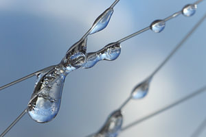 Netzeis