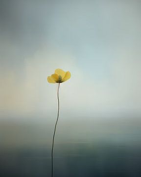 Fleur, minimalisme aux couleurs pastel sur Studio Allee