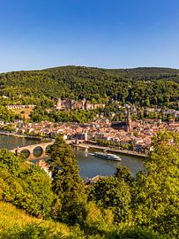 Heidelberg mit Alter Brücke und dem Heidelberger Schloss von Werner Dieterich