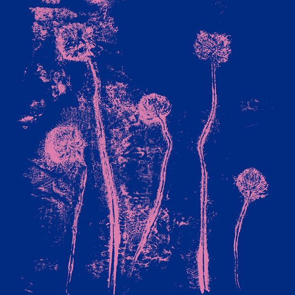 Botanica delicata. Flowers in neon pink on cobalt blue by Dina Dankers