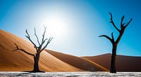De dode bomen van de Deadvlei