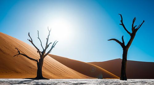 Die toten Bäume von Deadvlei