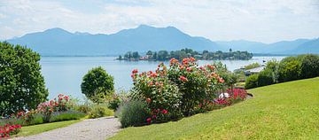 Pad in het park Gstadt am Chiemsee, Opper-Beieren van SusaZoom