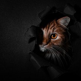 Debby de Graaff profielfoto