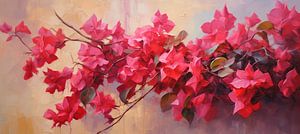 Bougainvillea | Rosa Wirbel