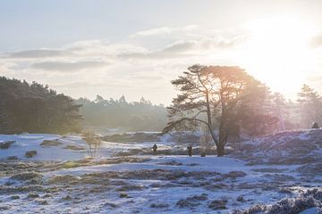 Winter auf dem Landgut Heidestein, Utrecht Ridge von Peter Haastrecht, van