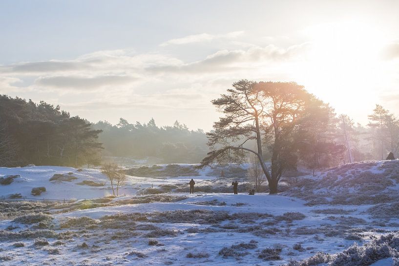 Winter auf dem Landgut Heidestein, Utrecht Ridge von Peter Haastrecht, van