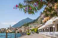 GARDASEE Limone sul Garda promenade langs het meer van Melanie Viola thumbnail