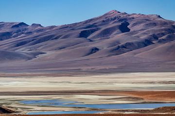 Bolivia's Andes regio.  Vulkanen, woestijnen en meren van Alex Neumayer