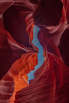 Antelope Canyon van Bertram Bergink