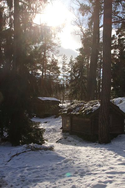 Finland by Hélena Schra