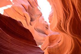 Nach oben gehen, um auszusteigen von Frank's Awesome Travels