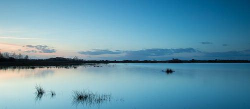 Avondlicht tijdens blauwe uurtje (long exposure) - Haaksbergerveen  