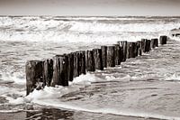 Entdecken Sie den Zauber der verwitterten Strandpfähle in Cadzand, Niederlande