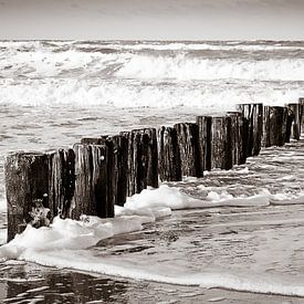 Entdecken Sie den Zauber der verwitterten Strandpfähle in Cadzand, Niederlande von DroomGans