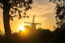 Mill by Taede Smedes
