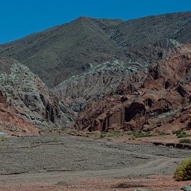 Rainbow Valley – Kleurrijke mineralen in de Atacama Woestijn van cobofoto