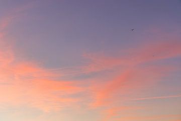 Dromerige wolken met twee vogels tijdens zonsopkomst | Reisfotografie | Pastelkleurige lucht van Kelsey van den Bosch