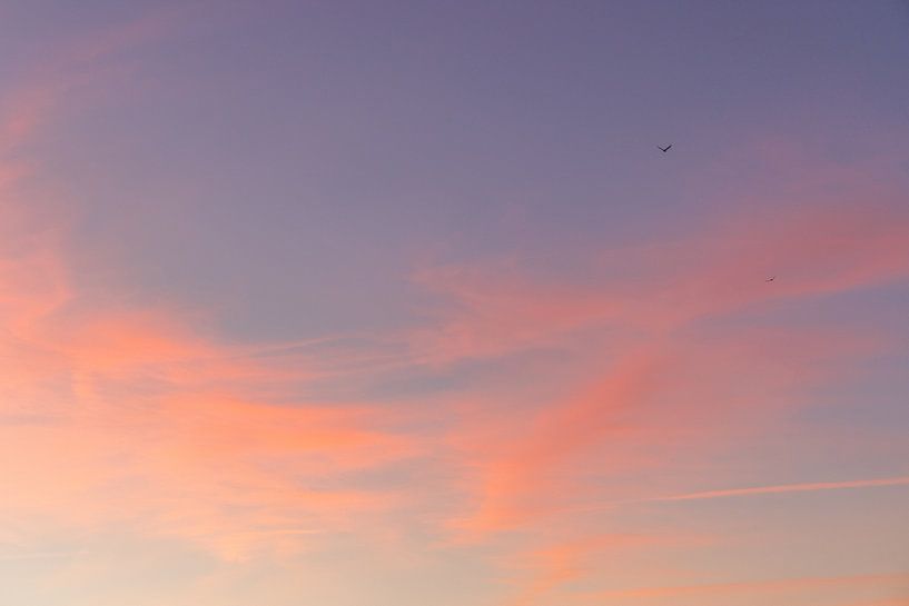 Nuages de rêve avec deux oiseaux au lever du soleil | Photographie de voyage | Ciel pastel par Kelsey van den Bosch