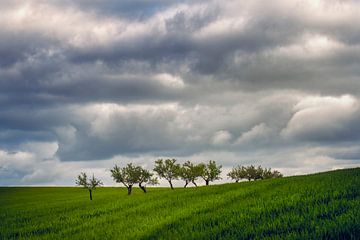 Rolling landscape Andalusia by Peter Poppe