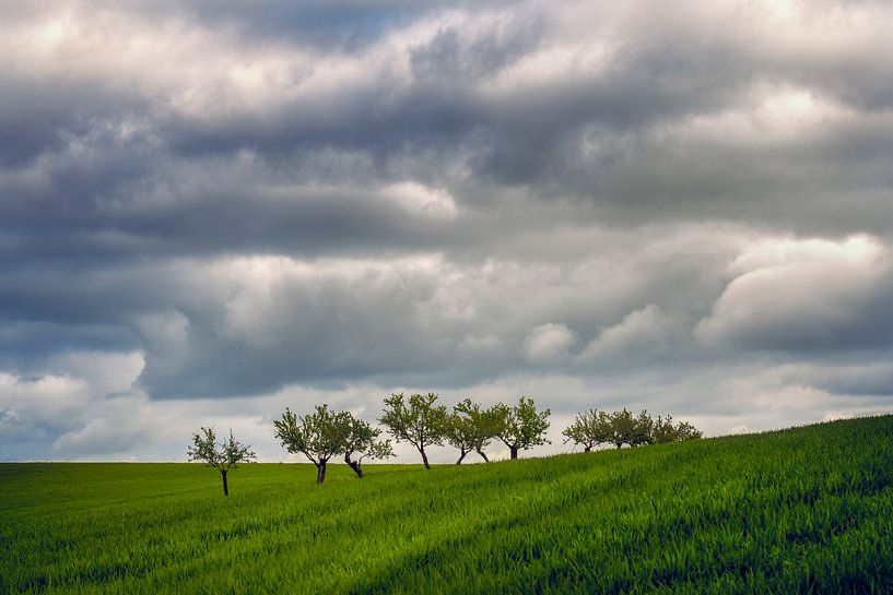 Hügellandschaft Andalusien von Peter Poppe
