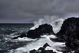 Sturm von Susan van Diesen