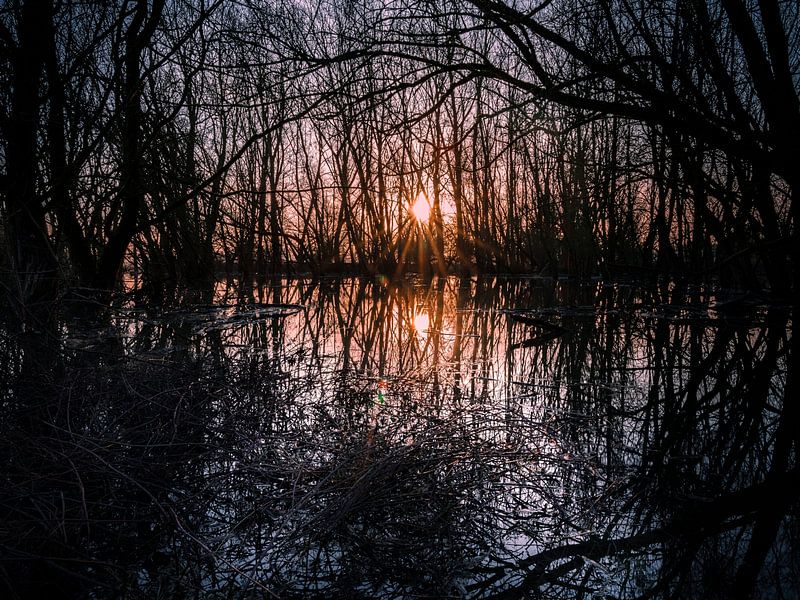 Zonsopkomst Meinerswijk van Eddy Westdijk