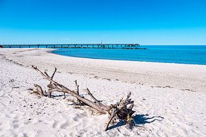 Seebrücke an der Ostseeküste in Wustrow auf dem Fischland-Darß