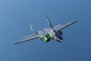 Saudische Boeing F-15 Eagle über Griechenland.