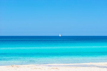 Summer sand beach background with sailing yacht at the horizon by Alex Winter