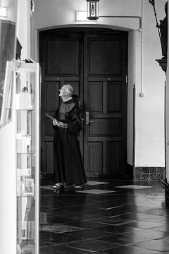 The Monastic Life by heidi borgart