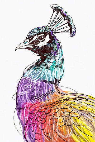 Colourful peacock in digital art by Art & Soul Creations