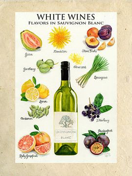 WHITE WINES - Flavours in Sauvignon Blanc by Colette van der Wal