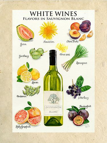 WHITE WINES - Flavors in Sauvignon Blanc