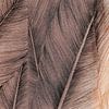 Natürlich Panorama Featherlight von ART Eva Maria